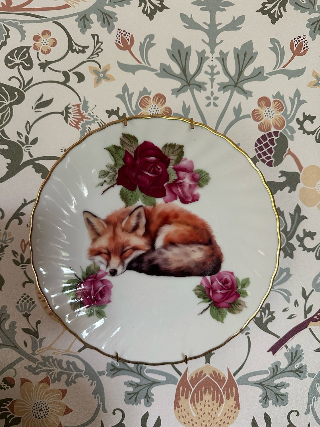 Assiette renard porcelaine + attache 