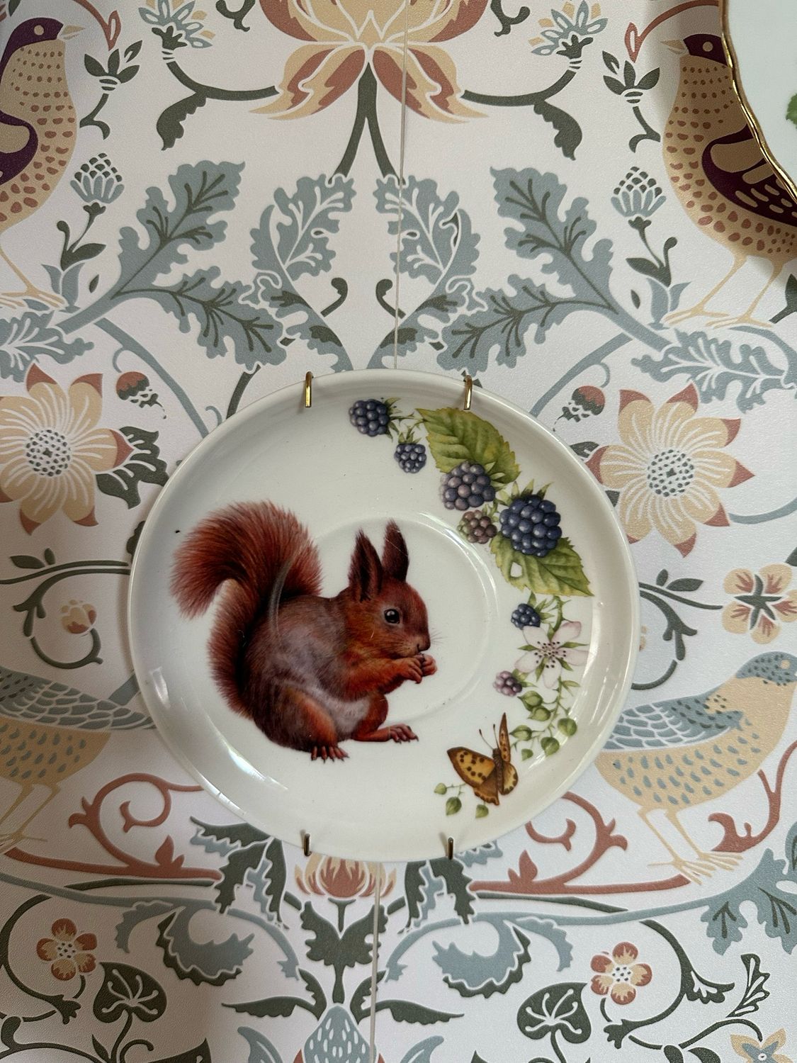Assiette écureuil porcelaine + attache 