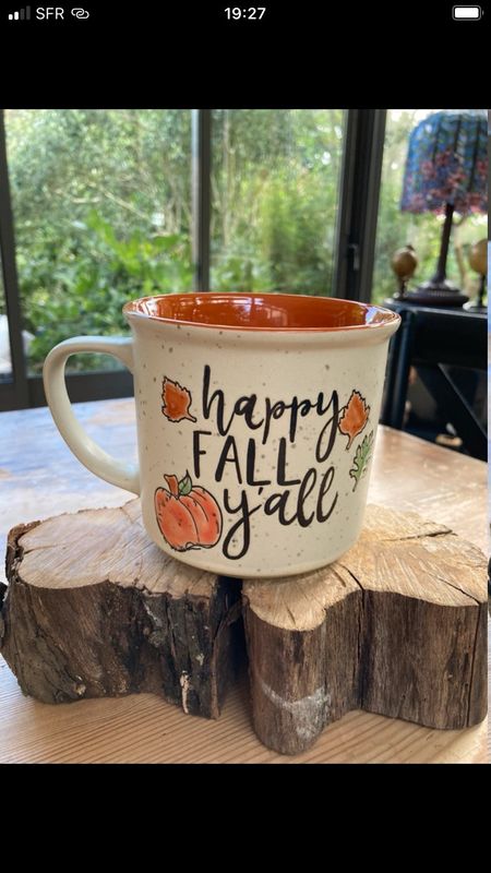 Grand mug US gré émaillé 