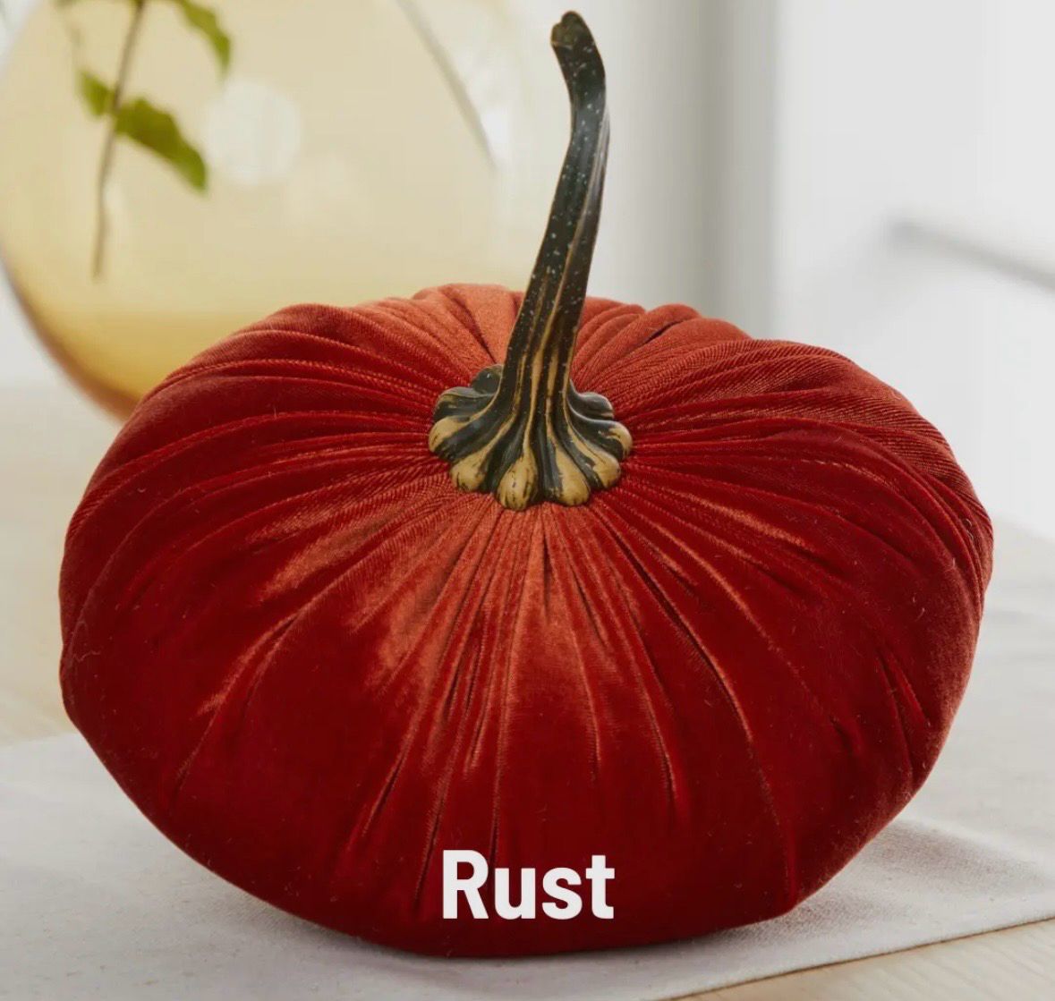 Citrouille rust 25 cm