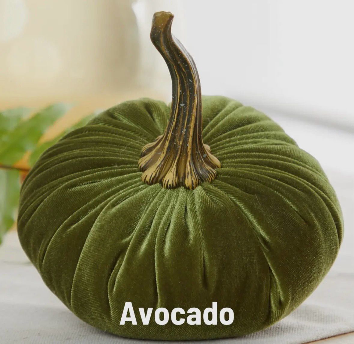 Citrouille moyenne 18 cm