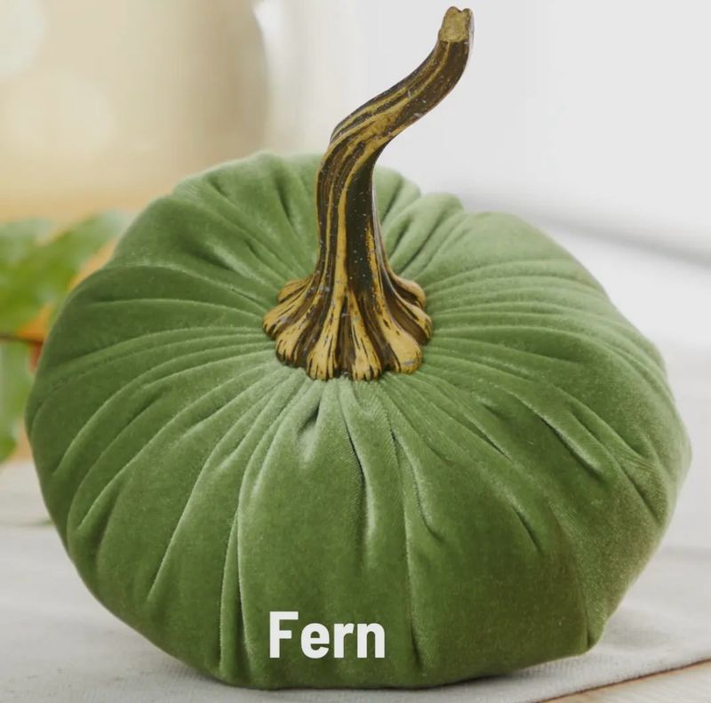 Citrouille moyenne 18 cm