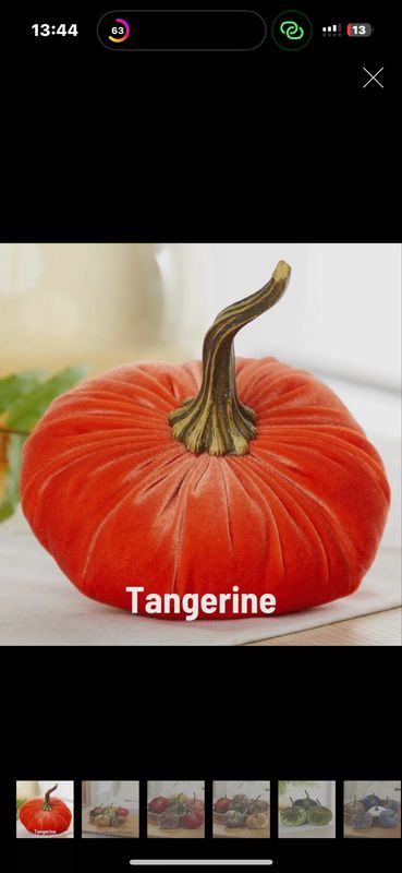 Tangerine 18 cm