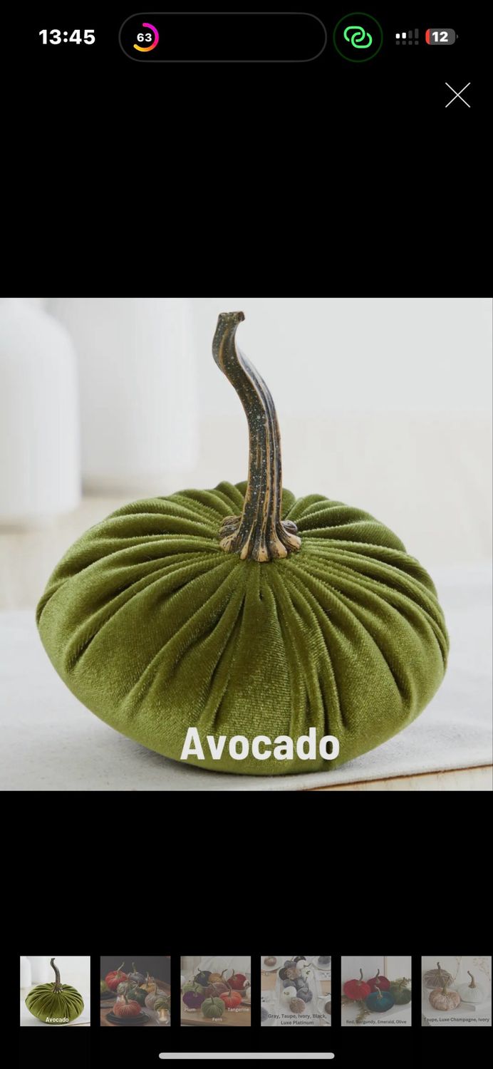 Avocat 15 cm