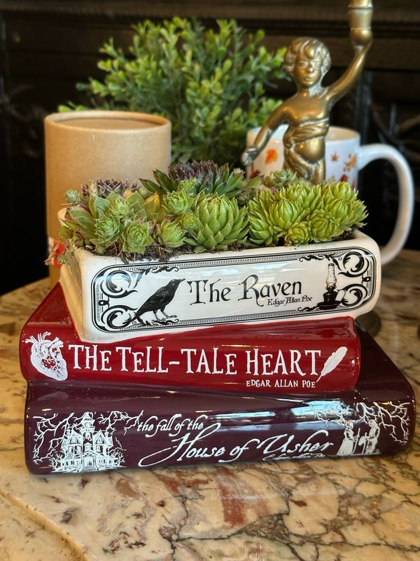 Jardinière Edgard Allan poe  Jardinière Edgard Allan poe