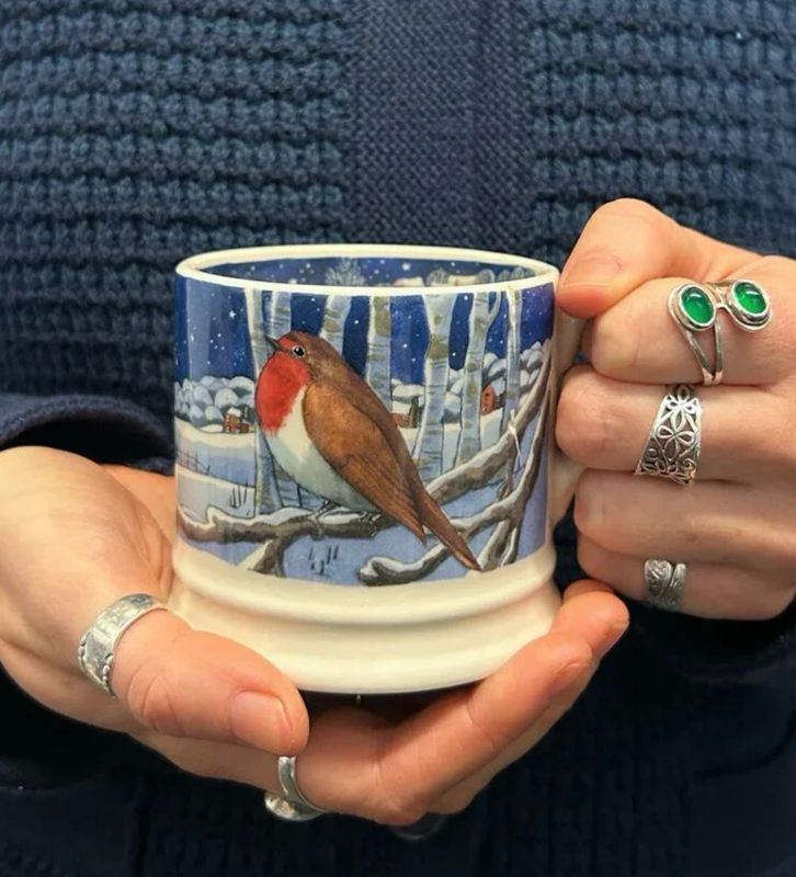 Midnight Robin Small mug