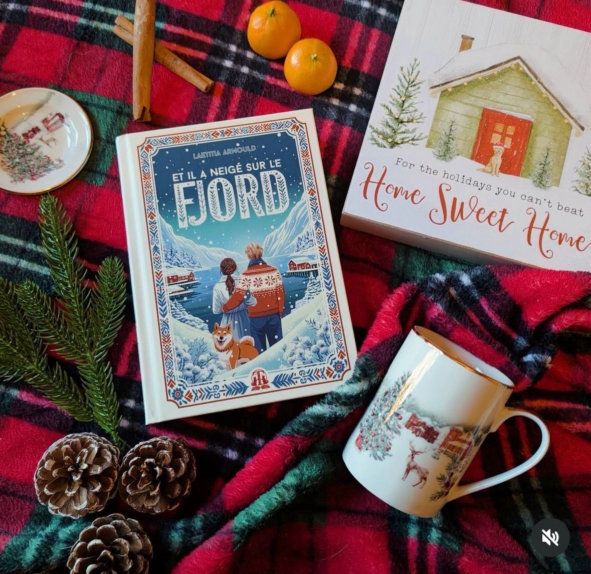 Livre il a neigé sur les Fjords