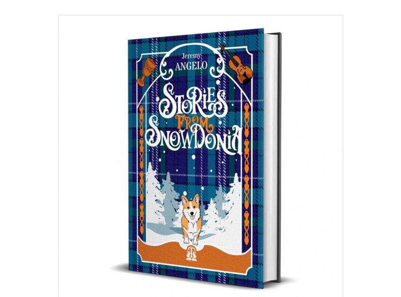 Livre stories From Snowdonia Livre stories From Snowdonia