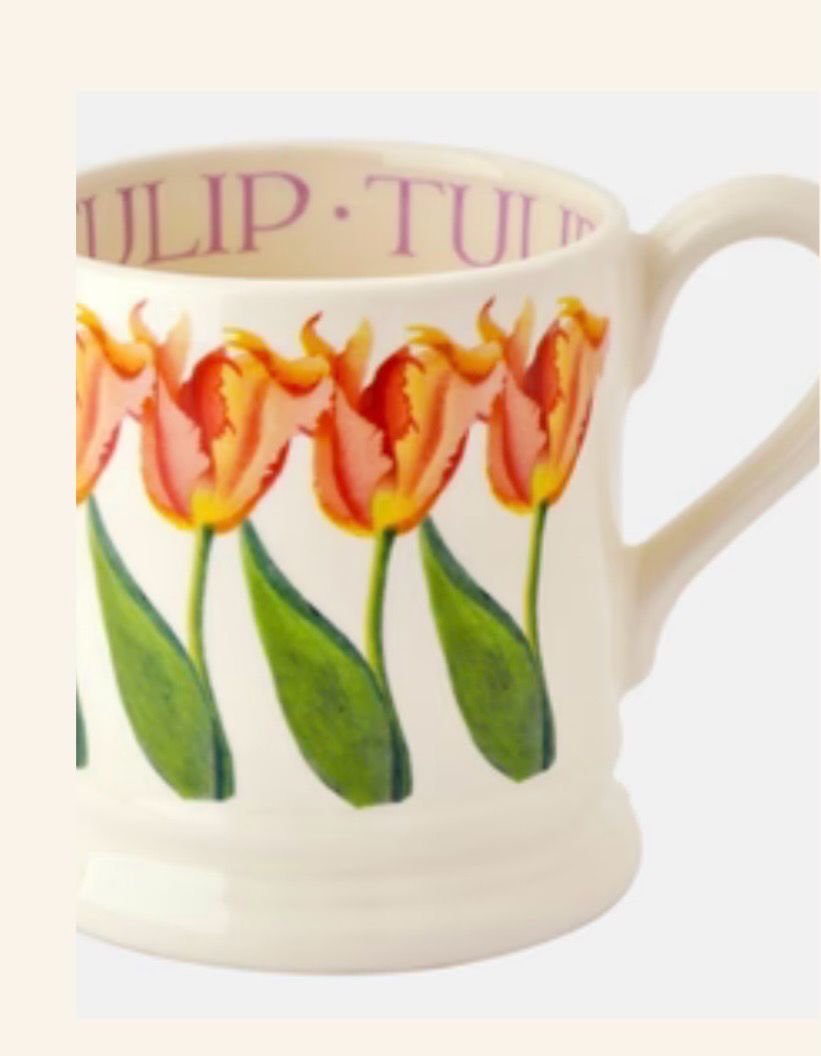 Pink tulip