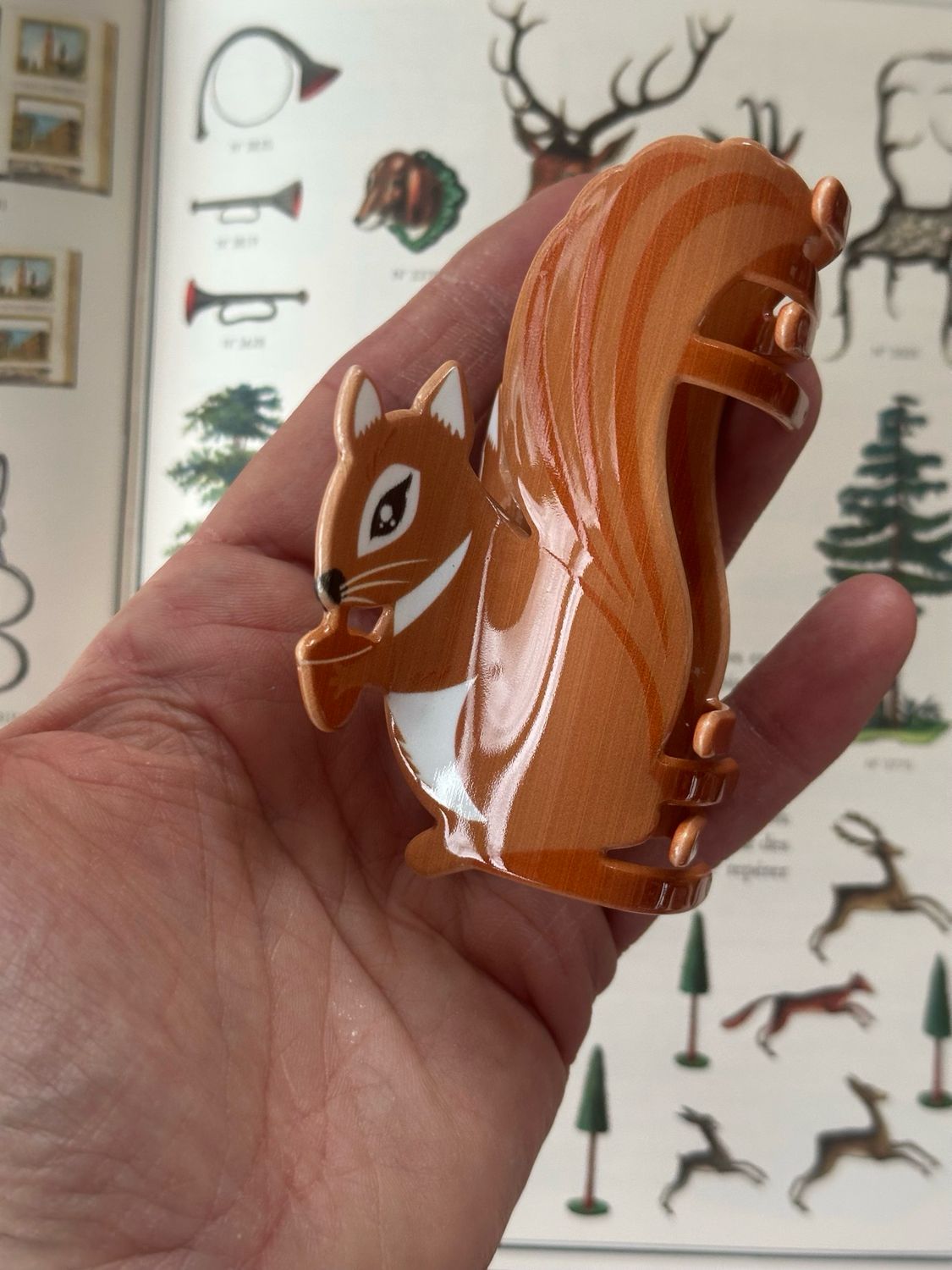 Grande pince écureuil 