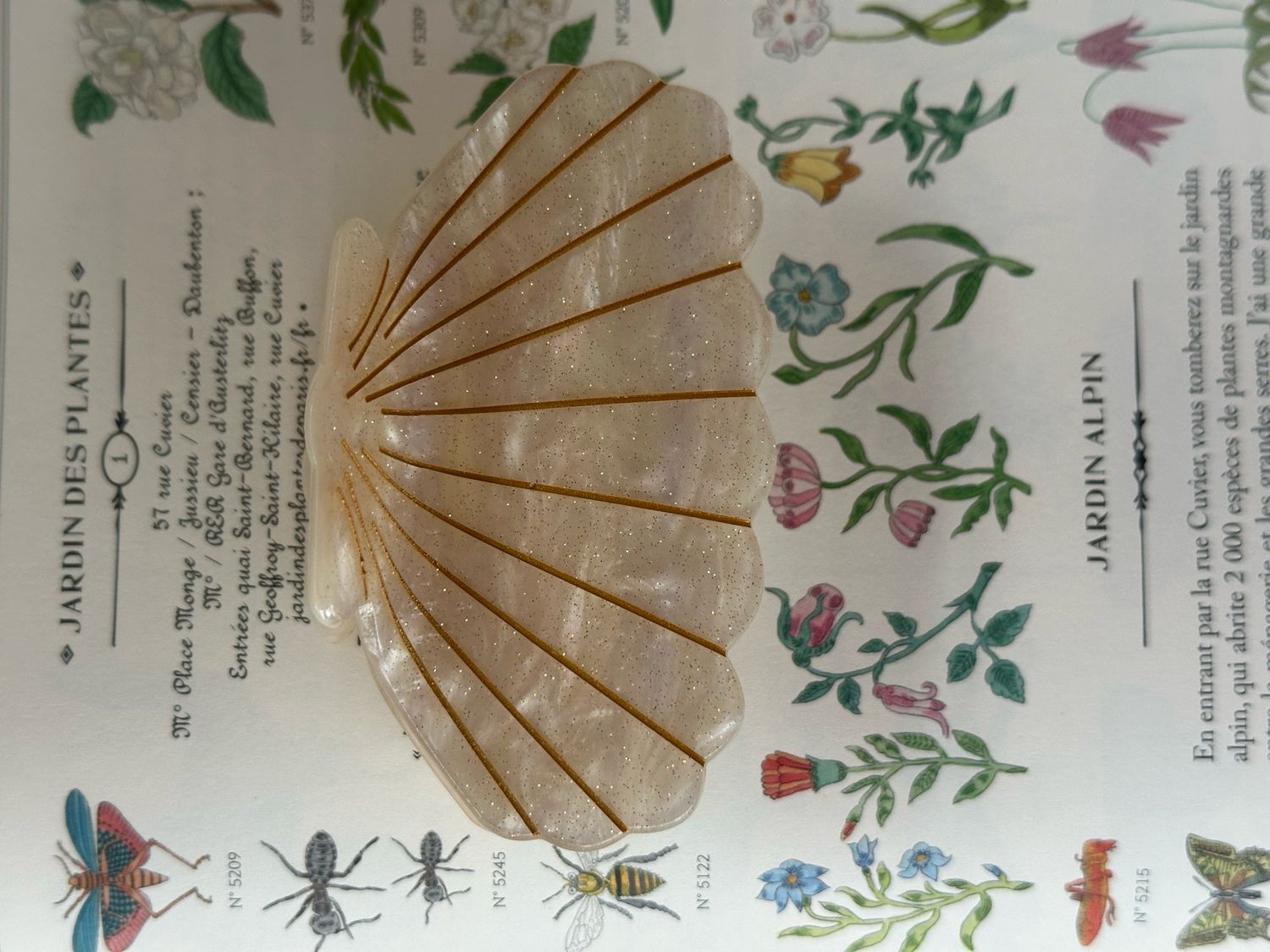 Grande pince coquille