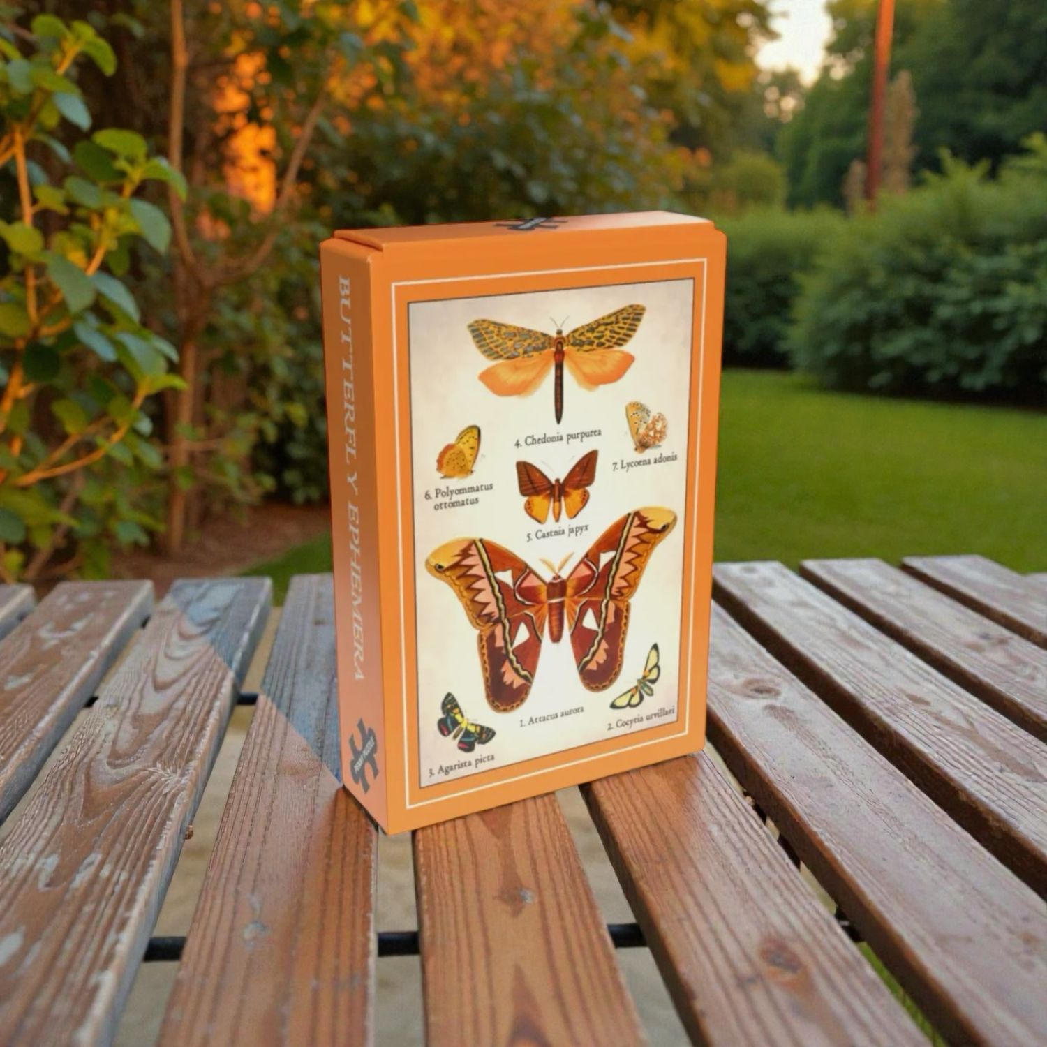 Mini puzzle butterfly 