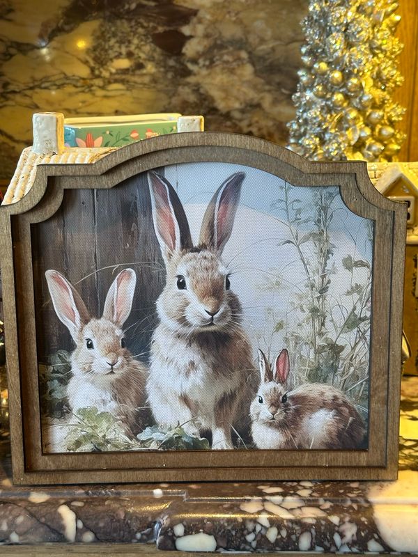 Doux lapins 20/30 cm