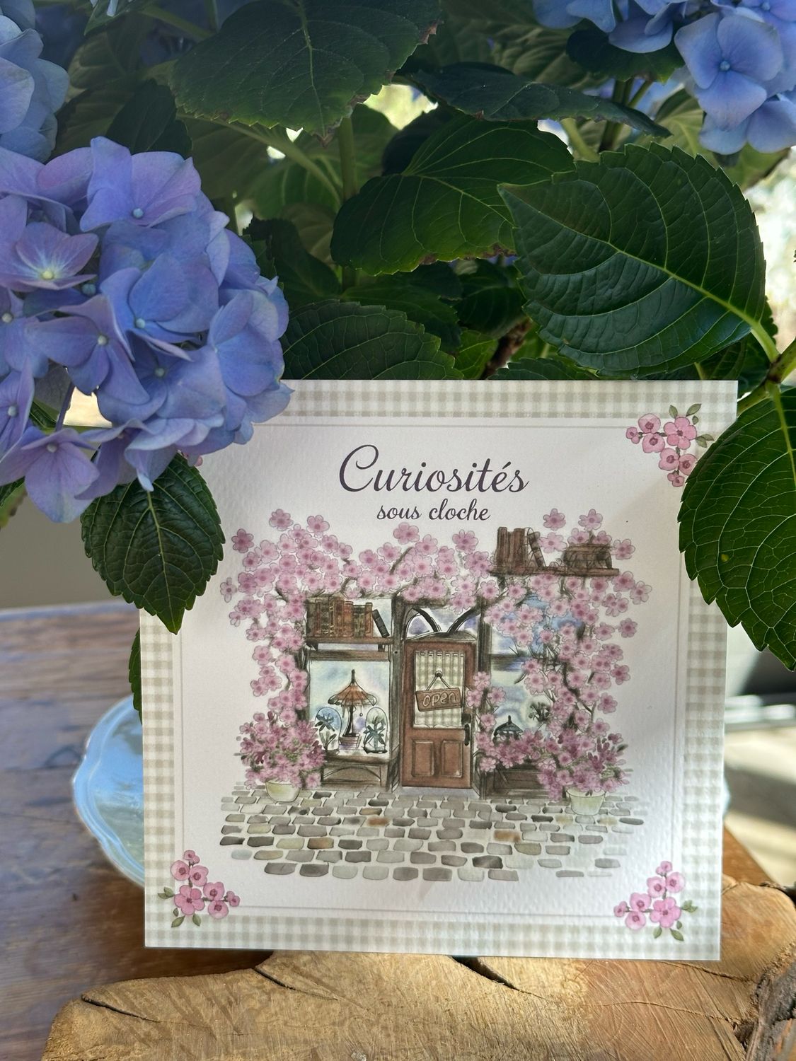 Carte de printemps Curiosites 