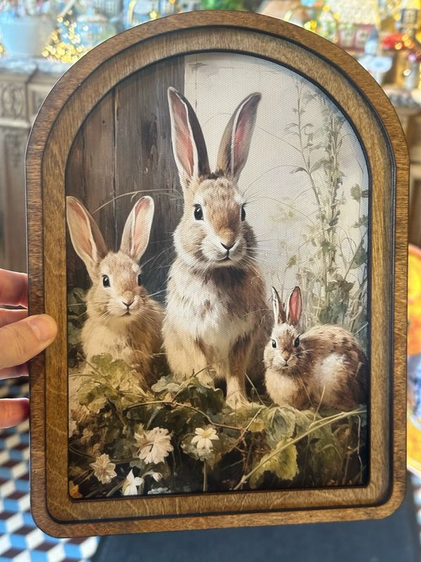 Cadre us famille lapin 20/30 cm