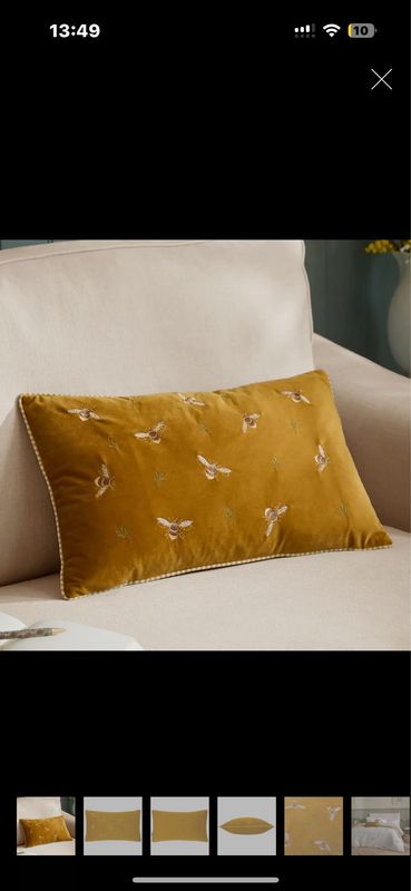 Coussin  abeille royale velours brodé 30/50 cm