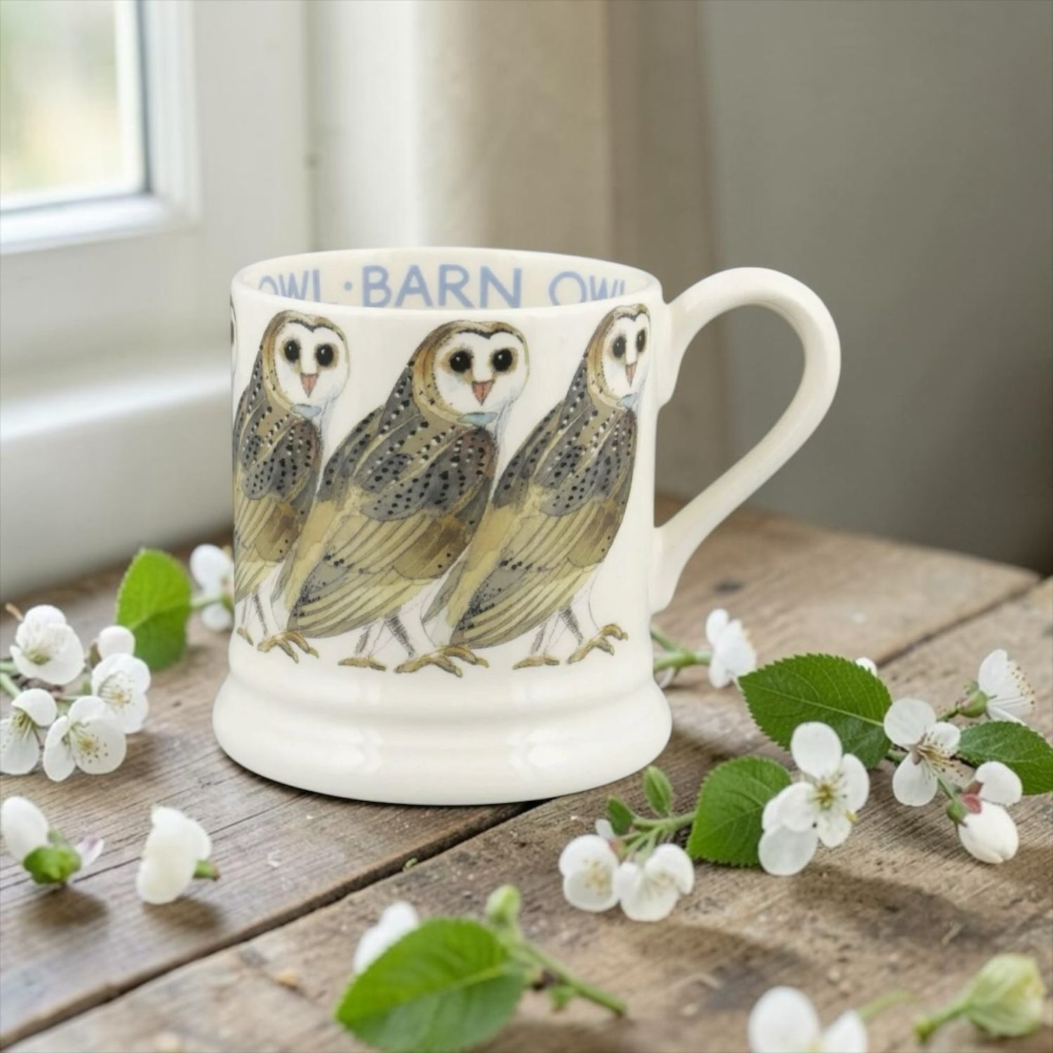 Barn owl 