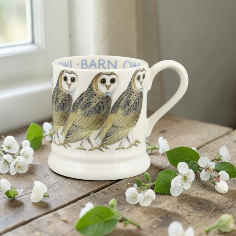 Barn owl 