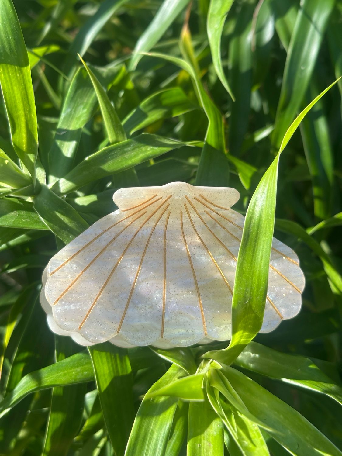 Pince Kauai 
