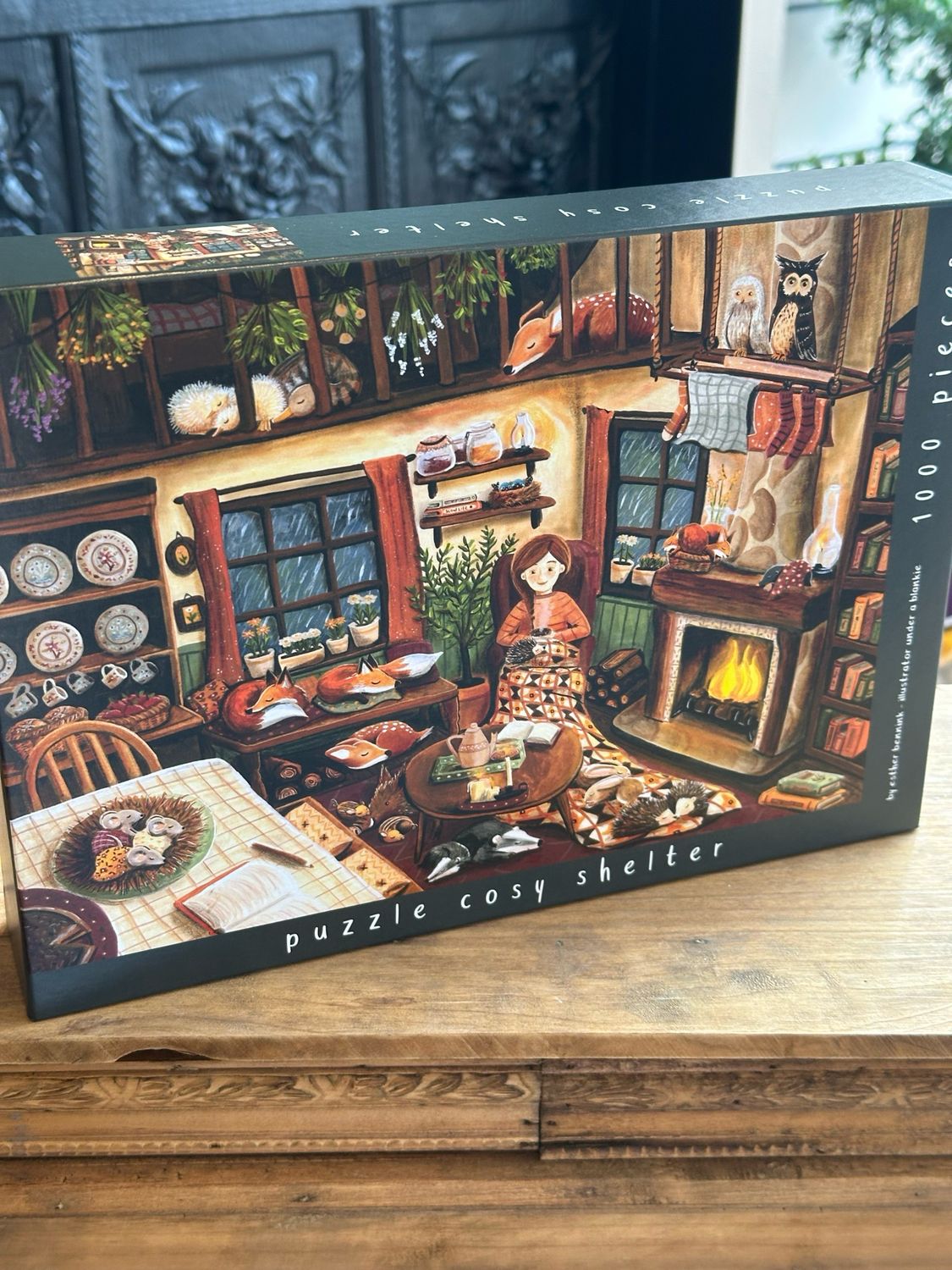 Puzzle Esther bennink 1000 pièces 