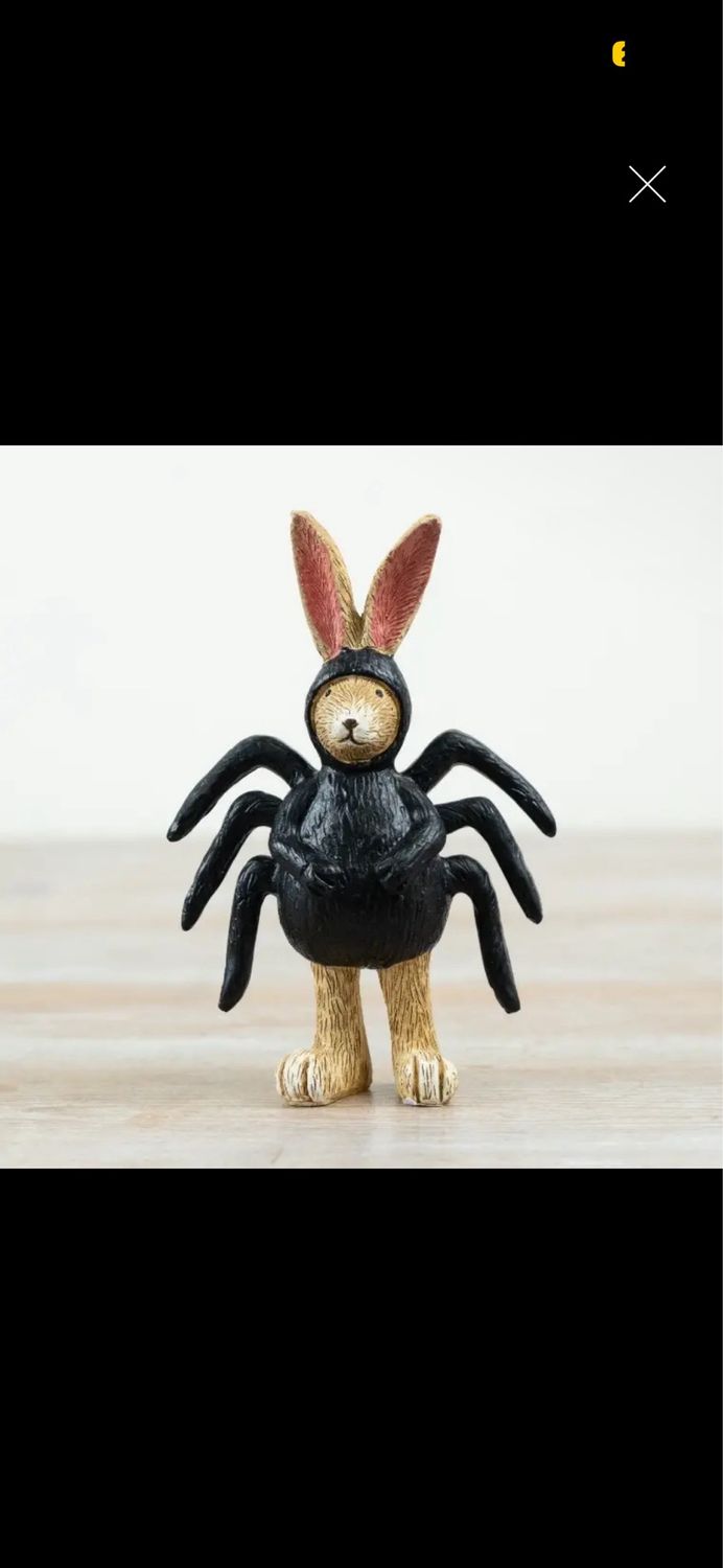 Spider lapin 