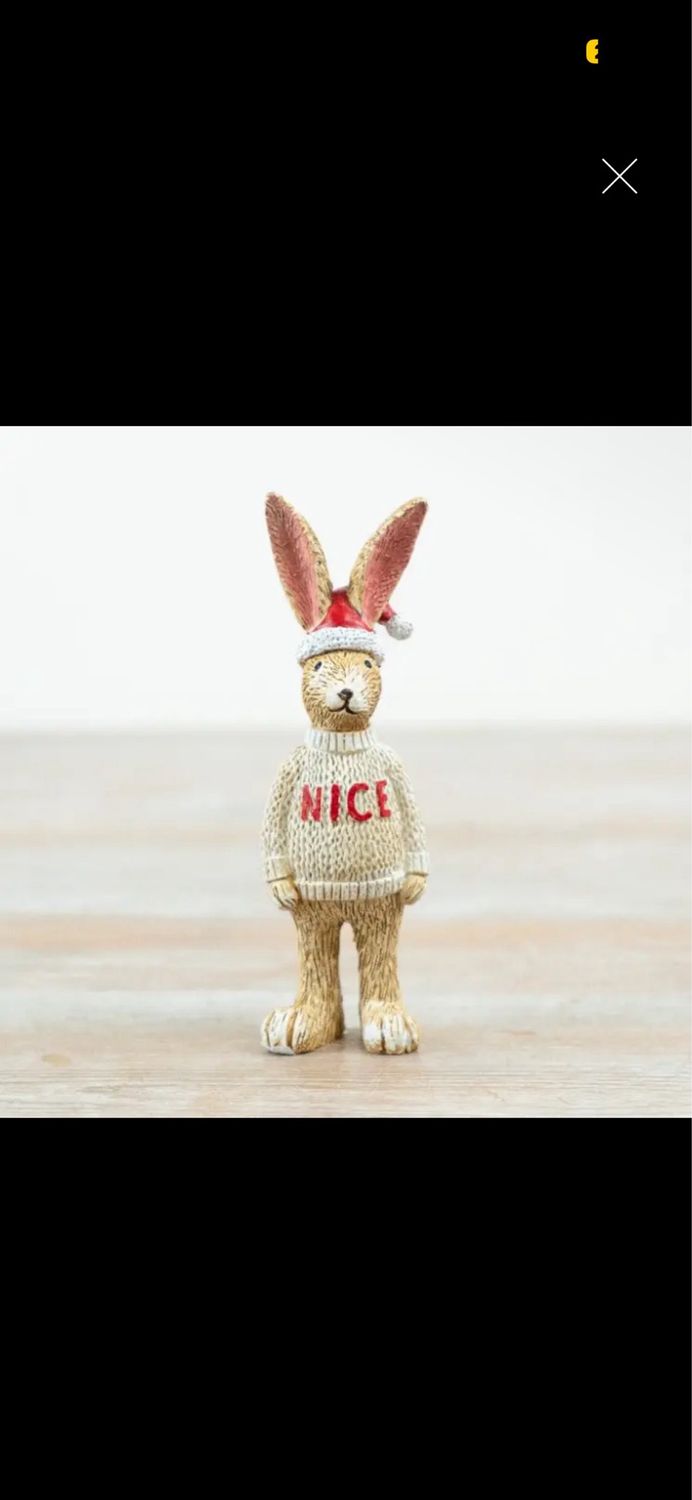 Nice Buny 