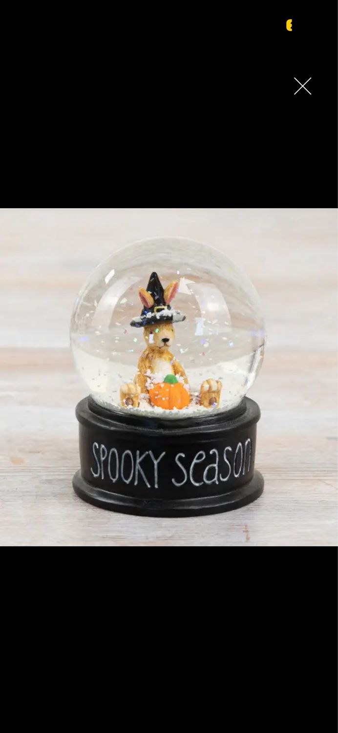 Boule à neige spooky 10 cm