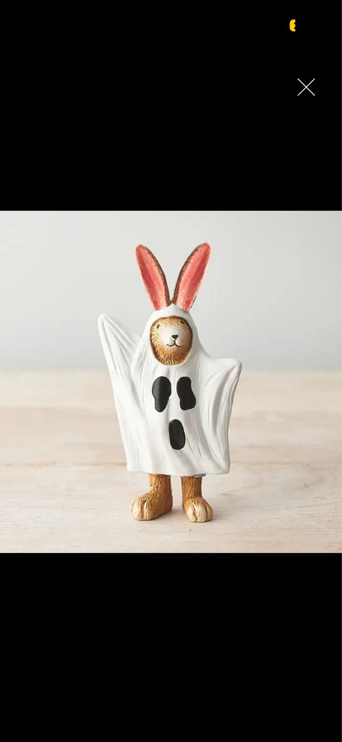 Lapin fantôme 