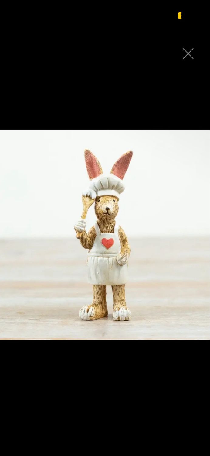 Lapin cuisinier 
