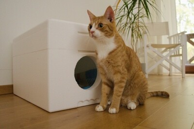 Dom dla kota cieplutki niemalowany 4cm BIAŁY