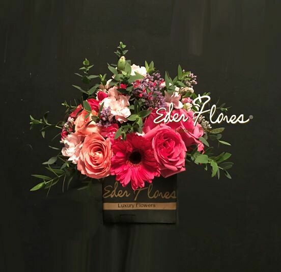 Tierno Cumpleaños Tierno Cumpleaños