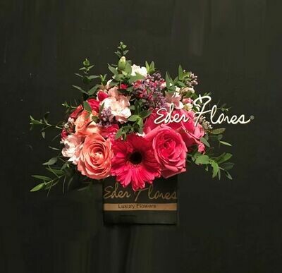 Tierno Cumpleaños Tierno Cumpleaños