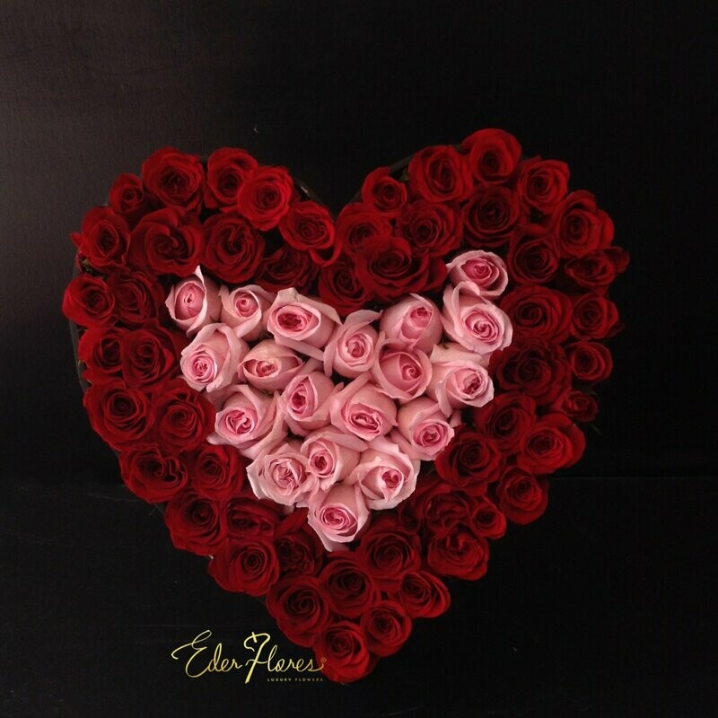 Latidos de Mi Corazón.