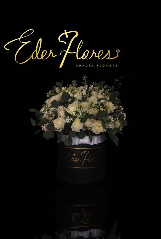 Timbres Postales al Cielo