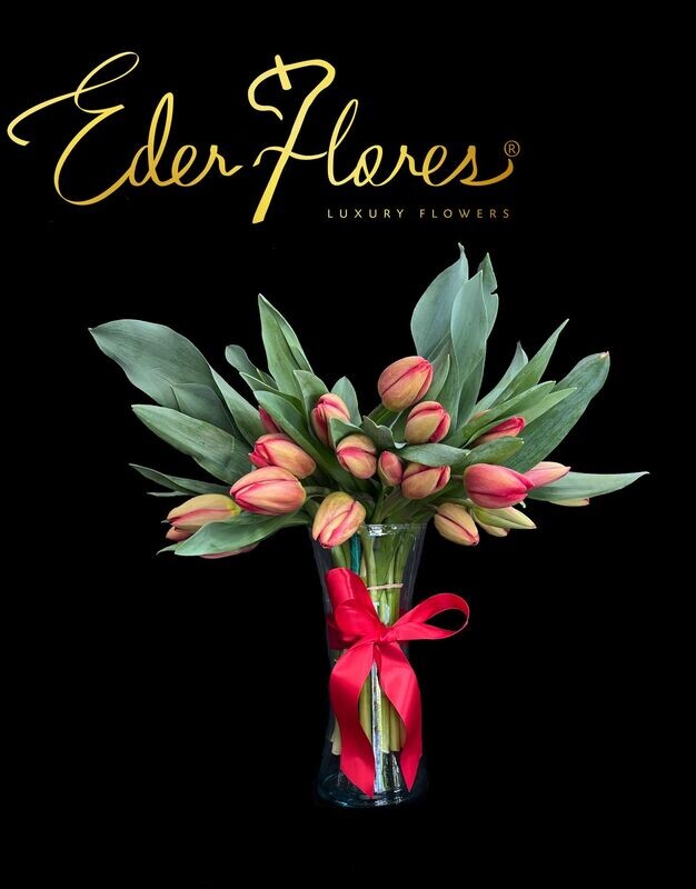 Encanto de Tulipanes