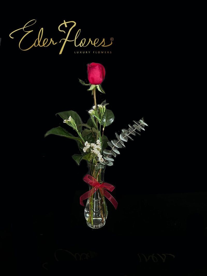 Violetero de Rosa Violetero de Rosa