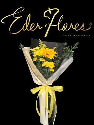 Gerbera Coreana PVR Gerbera Coreana PVR