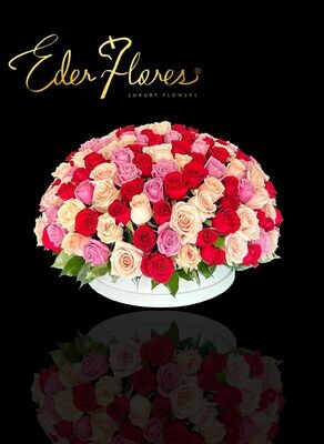 Monarca Flower Box de rosas