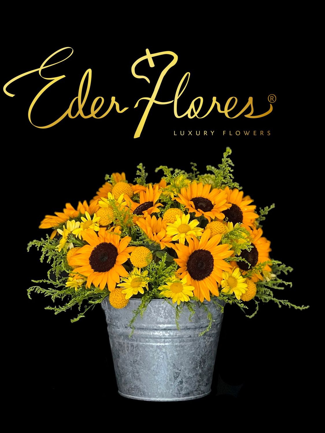 Sunshine Bucket Sunshine Bucket