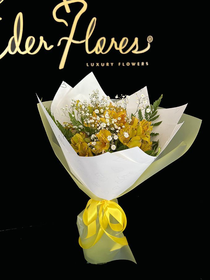 Campo de Alstroemerias