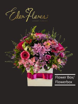 Fuchsia Flame Fuchsia Flame