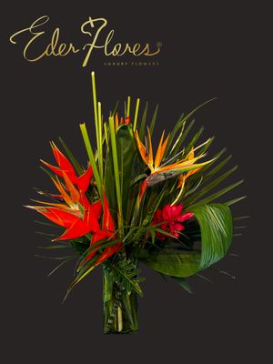 Arreglo Tropical Arreglo Tropical