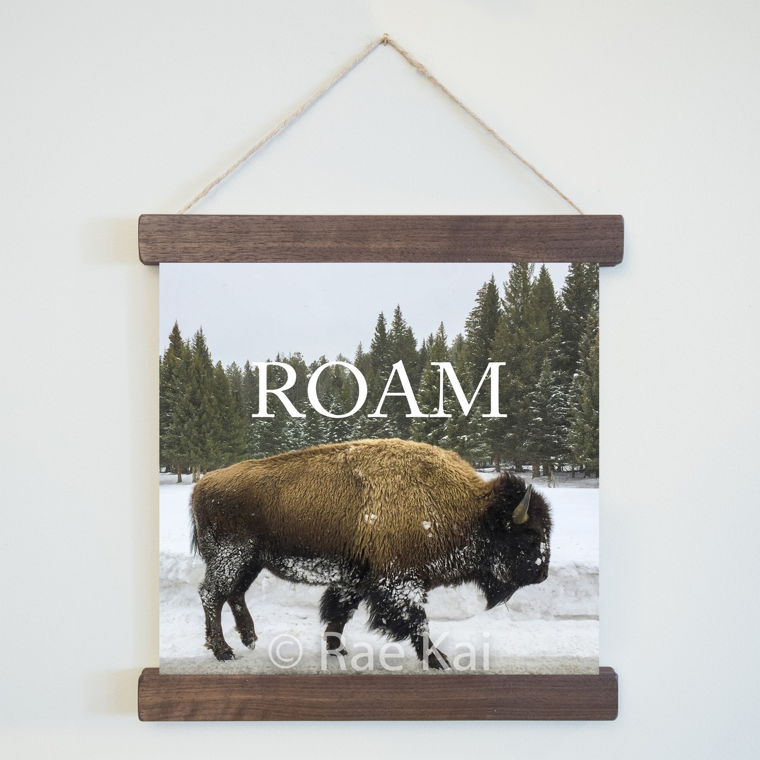 Roam-Square Photo Print