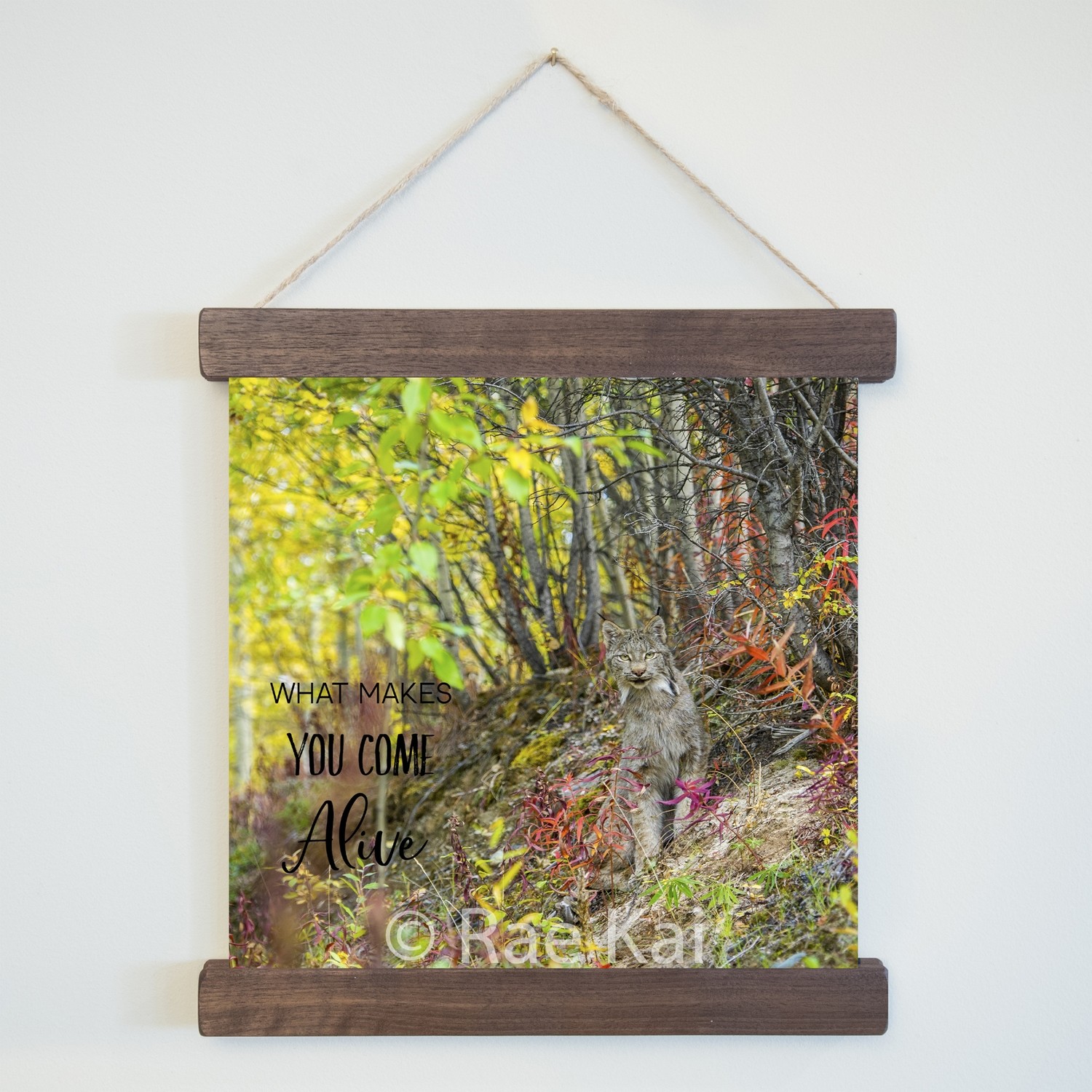 What Makes You Come Alive-Square Photo Print