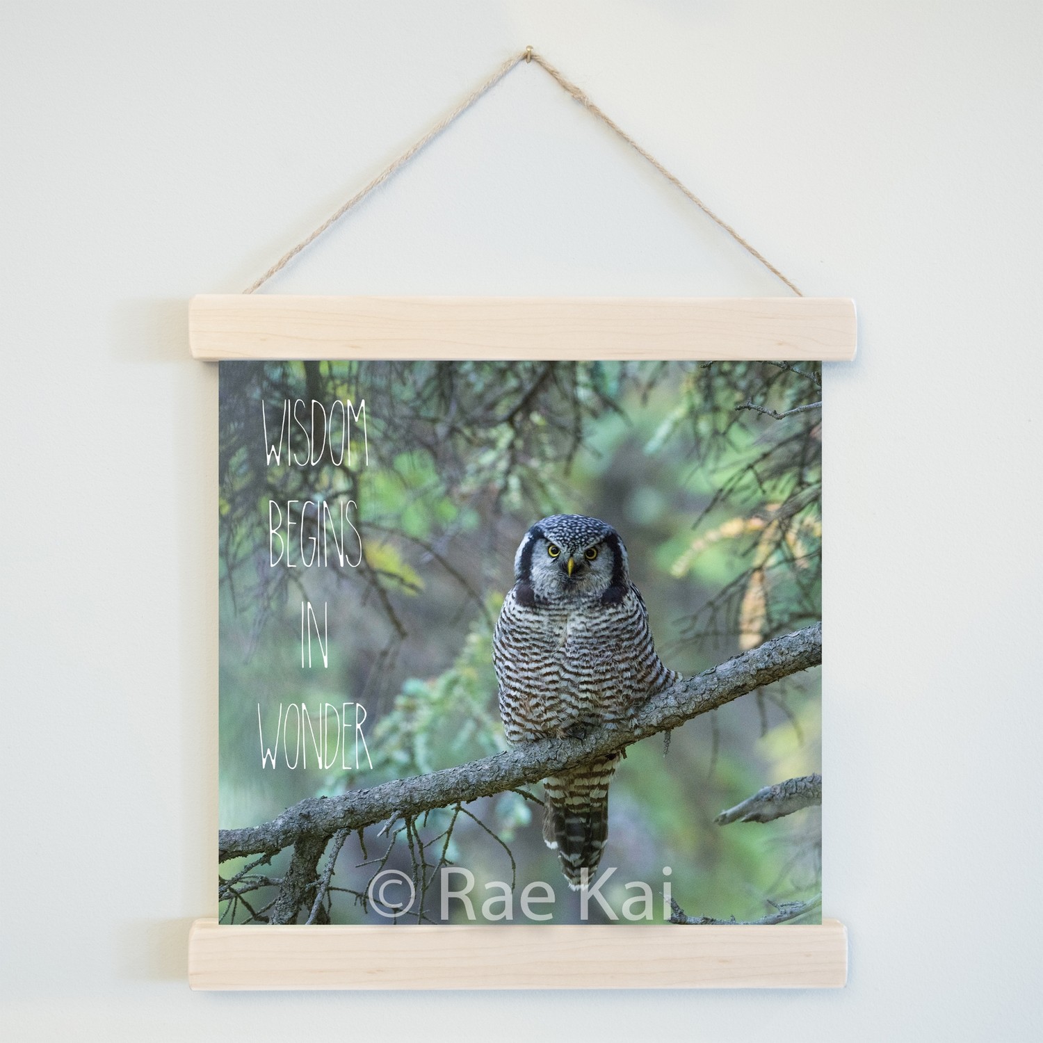 Wisdom Begins In Wonder-Square Photo Print