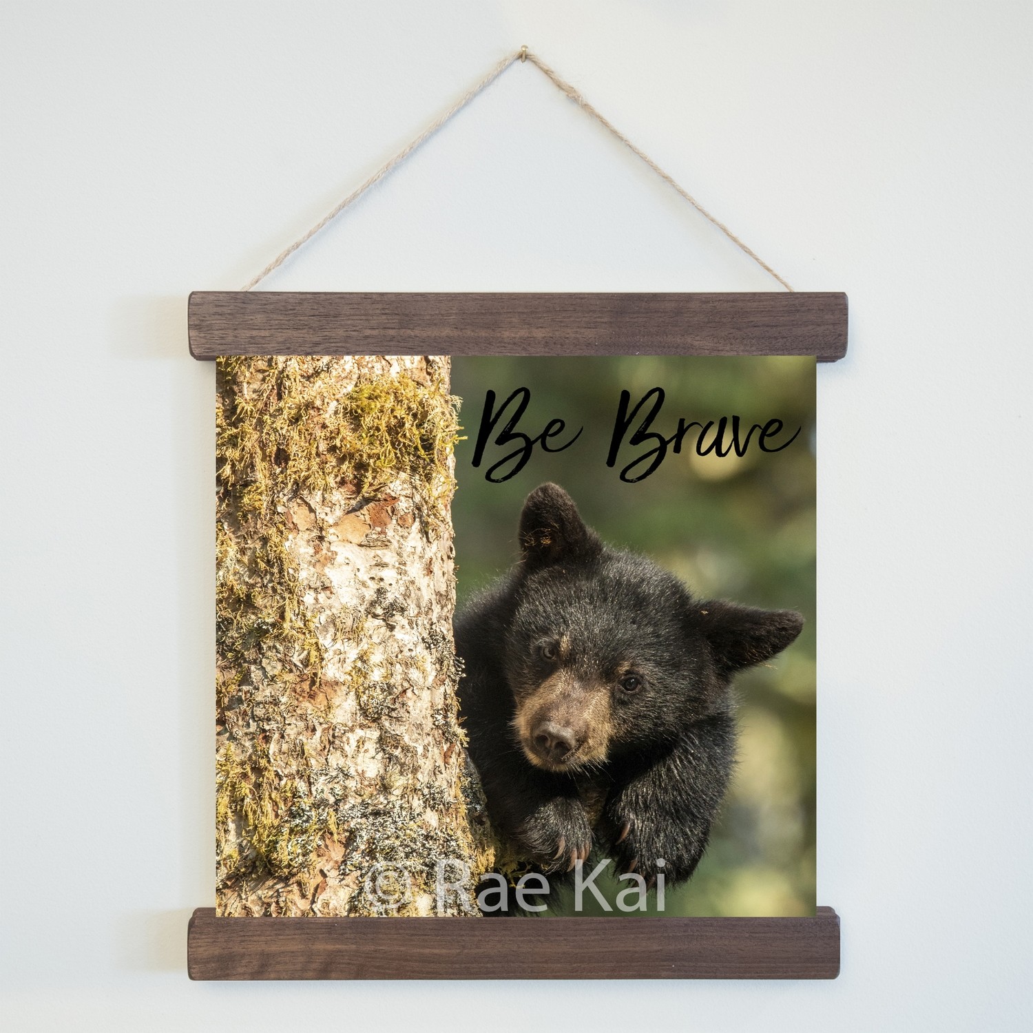 Be Brave (Cub in Tree)-Square Photo Print