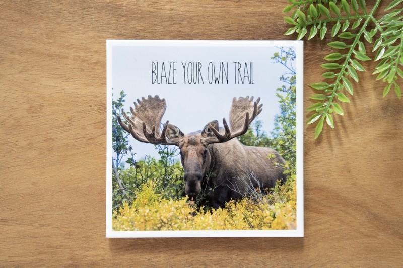 Blaze Your Own Trail-Nature Photo Coaster