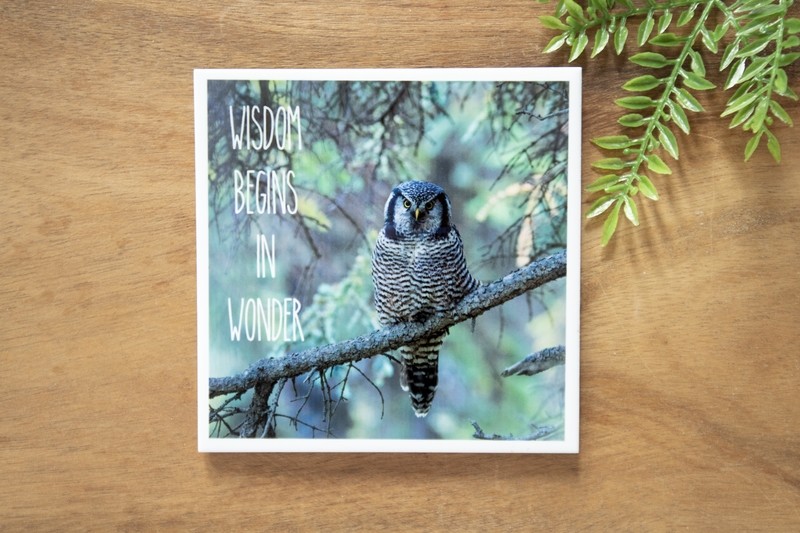 Wisdom Begins In Wonder-Nature Photo Coaster