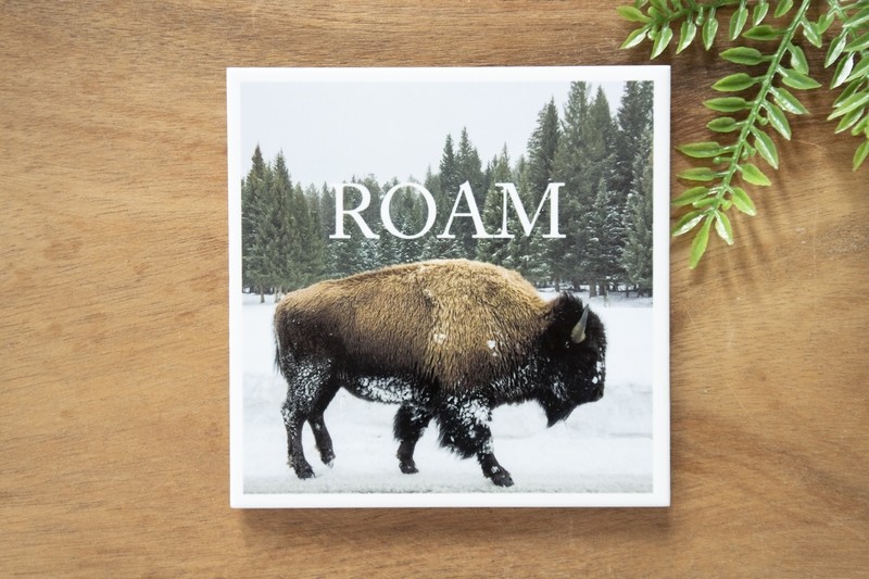 Roam-Nature Photo Coaster