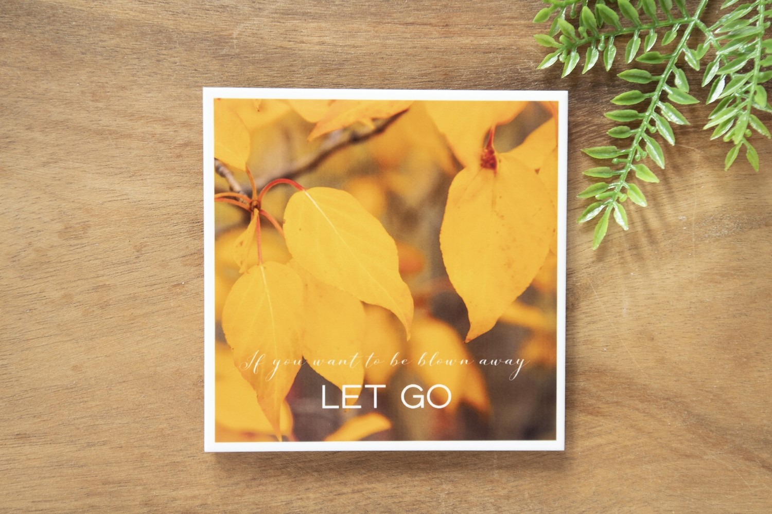 If You Want To Be Blown Away-Nature Photo Coaster